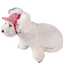 Load image into Gallery viewer, Custom Personalize Design Your Puppy Dog Baseball Cap (Pet Clothing)