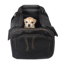Cargar imagen en el visor de la galería, Custom Personalize Your Pet/Dog/Cat Carrier with Pet Name or Text | DG Custom Graphics