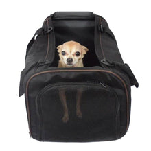 Load image into Gallery viewer, Custom Personalize Your Pet/Dog/Cat Carrier with Pet Name or Text | DG Custom Graphics