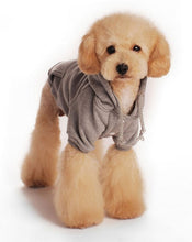 Cargar imagen en el visor de la galería, Custom Personalized Design Your Own Dog Hoodie Sweatshirt (pet Clothing)